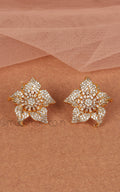 Latest Design Diamond Studded Gold Polish Earrings