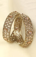 Buy Online Champagne Color Low Price Bangles
